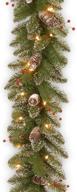 🎄 national tree company flocked christmas garland - 9 ft, pre-lit with white lights & mixed decorations, glittery mountain spruce logo