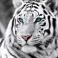 🐯 комплект для творчества "sunkoo tiger diamond painting" для взрослых - полный набор, тигр из бриллиантов с картины с вышивкой стразами, декор домашней стены - 12x12 дюймов. логотип