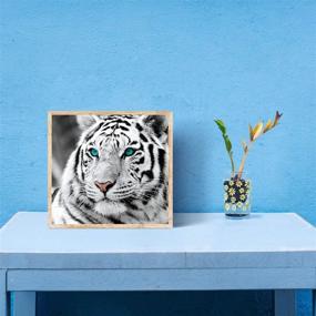 img 2 attached to 🐯 Комплект для творчества "SUNKOO Tiger Diamond Painting" для взрослых - полный набор, тигр из бриллиантов с картины с вышивкой стразами, декор домашней стены - 12x12 дюймов.