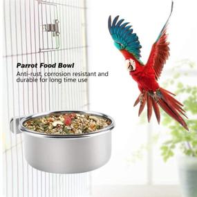 img 1 attached to 🦜 Tfwadmx Bird Feeding Dish Cups: Parrot Food Bowl Holder for Parakeets, African Greys, Cockatiels - 2 Pack