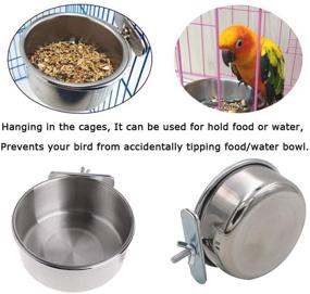 img 2 attached to 🦜 Tfwadmx Bird Feeding Dish Cups: Parrot Food Bowl Holder for Parakeets, African Greys, Cockatiels - 2 Pack