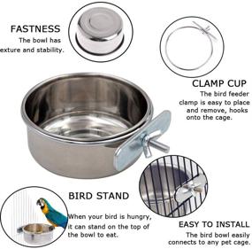 img 3 attached to 🦜 Tfwadmx Bird Feeding Dish Cups: Parrot Food Bowl Holder for Parakeets, African Greys, Cockatiels - 2 Pack