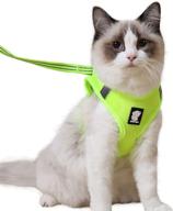 🐾 premium wooruy cat harness and leash set: 360° wrap-around design, reflective & anti-escape, ideal for small cats, dogs, puppies, and rabbits - cationic fabric logo