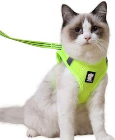 img 4 attached to 🐾 Premium Wooruy Cat Harness and Leash Set: 360° Wrap-Around Design, Reflective & Anti-Escape, Ideal for Small Cats, Dogs, Puppies, and Rabbits - Cationic Fabric
