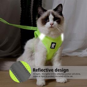 img 3 attached to 🐾 Premium Wooruy Cat Harness and Leash Set: 360° Wrap-Around Design, Reflective & Anti-Escape, Ideal for Small Cats, Dogs, Puppies, and Rabbits - Cationic Fabric
