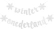 winter onederland snowflakes banner decorations logo