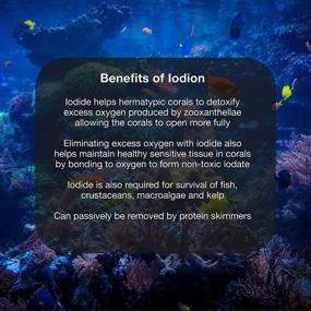 img 1 attached to 🐠 Concentrated Iodide Supplement for Marine Aquariums by Brightwell Aquatics: Iodion+