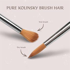 img 2 attached to 💅 Aokitec 14# Acrylic Nail Brush: Premium Kolinsky Sable Nail Art Painting Tool for Acrylic Powder Application