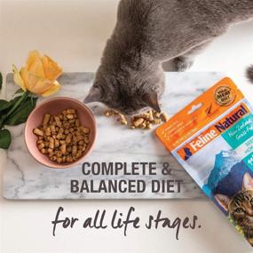 img 1 attached to 🐱 Feline Natural: Premium Freeze-Dried Grain-Free Cat Food - A Purrrfect Blend of Quality & Nutrition!