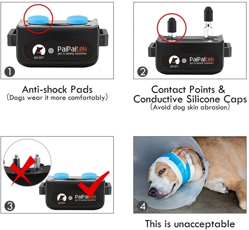 Shock pads outlet for dogs