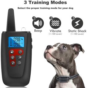 img 3 attached to 🐶 Paipaitek 3300Ft Range Shock Collars for Dogs with Remote - Electric Dog Collar for Large Medium Small Dogs, Waterproof Training Collar w/3 Modes: Beep, Vibration, Shock (1-100 Levels)