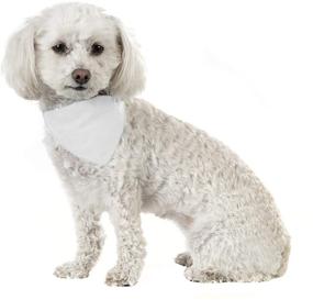 img 4 attached to 🐶 Dog Bandanas 8 Pack - High-Quality Cotton Triangle Bibs for Small and Medium Pets