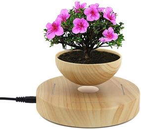 img 4 attached to Magnetic Levitation Suspension Air Bonsai 🪴 Pot - Levitating Flower and Air Bonsai Pot