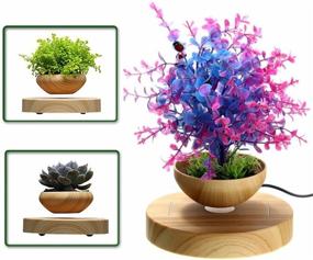 img 3 attached to Magnetic Levitation Suspension Air Bonsai 🪴 Pot - Levitating Flower and Air Bonsai Pot