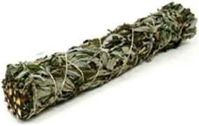 img 4 attached to Black Sage Mugwort Small Smudge