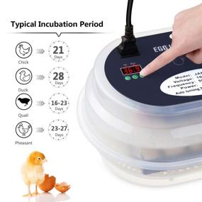img 2 attached to 🐣 Automatic Digital Chicken Incubator