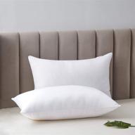 acanva alternative sleeping pillow set logo
