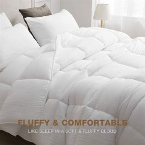 img 2 attached to DWR All Season Cloud Alternative Comforter