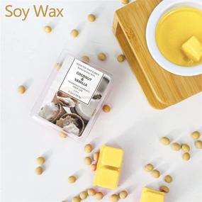 img 2 attached to 🥥 SCENTORINI Coconut Vanilla Wax Melts - Soy Scented Wax Cubes for Wax Warmers, 2 x 2.5 oz