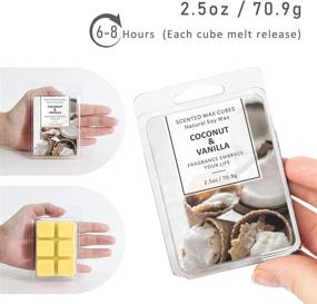 img 3 attached to 🥥 SCENTORINI Coconut Vanilla Wax Melts - Soy Scented Wax Cubes for Wax Warmers, 2 x 2.5 oz