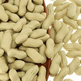 img 1 attached to 🥜 Gresorth 50pcs Artificial Peanut Props | Lifelike Simulation Fake Peanut Food Decoration for Home Kitchen & Photography