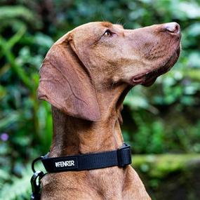 img 2 attached to Fenrir canine products XS Premium Padded Dog Collar: Enhancing Comfort and Style