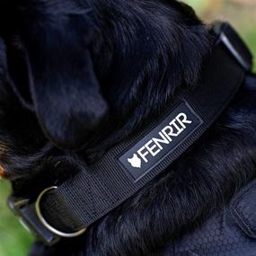 img 1 attached to Fenrir canine products XS Premium Padded Dog Collar: Enhancing Comfort and Style