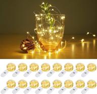 16-pack le fairy light battery operated, warm white, 3.3ft 20 micro starry led, waterproof cooper wire string light for indoor outdoor wedding, party, bedroom, mason jar, craft and more logo