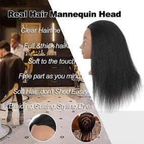 img 1 attached to 14 inch Mannequin Head with Human Hair for Salon Training: Real Hair Manikin for Styling, Braiding & Hairdresser Practice