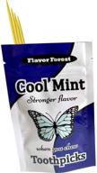 🪥 200 count mint flavored toothpicks for optimal dental freshness logo