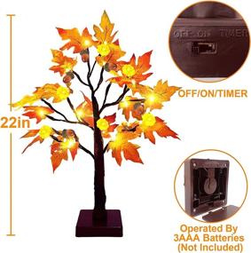 img 1 attached to 🍁 22" TURNMEON Prelit Tabletop Fall Maple Tree with Timer - 24 LED Pumpkin Lights, 6 Acorn Battery Operated Artificial Maple Leaves Tree Decoration - Autumn Thanksgiving Decoration for Indoor Home Decor