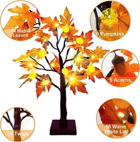 img 3 attached to 🍁 22" TURNMEON Prelit Tabletop Fall Maple Tree with Timer - 24 LED Pumpkin Lights, 6 Acorn Battery Operated Artificial Maple Leaves Tree Decoration - Autumn Thanksgiving Decoration for Indoor Home Decor