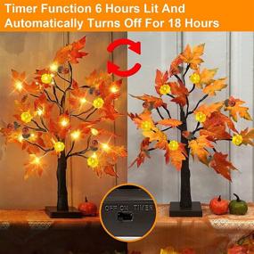 img 2 attached to 🍁 22" TURNMEON Prelit Tabletop Fall Maple Tree with Timer - 24 LED Pumpkin Lights, 6 Acorn Battery Operated Artificial Maple Leaves Tree Decoration - Autumn Thanksgiving Decoration for Indoor Home Decor