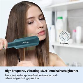 img 3 attached to Straightener Adjustable Instant Heating Titanium