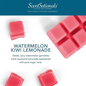 img 2 attached to Scentsationals Scented Wax Cubes Watermelon