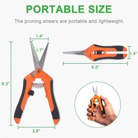 img 1 attached to 🌿 GROWNEER 3 Packs Pruning Shears: Enhanced Precision for Gardening with Straight Stainless Steel Blades