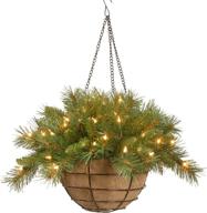 🎄 20-inch national tree company tiffany fir pre-lit hanging christmas basket: decorated with frosted pine cones, berry clusters, white lights - from the christmas collection logo