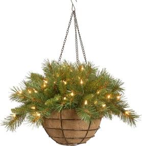 img 3 attached to 🎄 20-Inch National Tree Company Tiffany Fir Pre-Lit Hanging Christmas Basket: Decorated with Frosted Pine Cones, Berry Clusters, White Lights - From the Christmas Collection