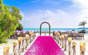 img 1 attached to 💖 2FTx15FT Hot Pink Sequin Aisle Runner - Fuchsia Glitter Carpet for Wedding Ceremony, Party, Prom Event