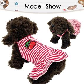 img 3 attached to 👗 Chic and Comfortable Striped Skirt Pet Dress: Stylish Dog Shirt, Soft Puppy T-Shirt, and Princess Dress in One - Perfect for Small Medium Dogs and Cats