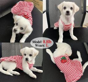 img 2 attached to 👗 Chic and Comfortable Striped Skirt Pet Dress: Stylish Dog Shirt, Soft Puppy T-Shirt, and Princess Dress in One - Perfect for Small Medium Dogs and Cats