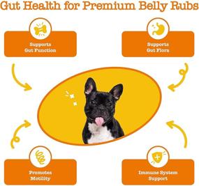 img 3 attached to 🐶 Zesty Paws Probiotic Flavor Infusions for Dogs - 500 Million CFU Probiotics for Optimal Gut Health & Flora - Boosts Immune System - Chicken Flavor