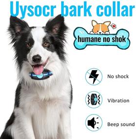 img 3 attached to 🐶 Uysocr Small Dog Bark Collar: Rechargeable & Waterproof Training Collar with No Pain, No Shock for Small to Medium Dogs