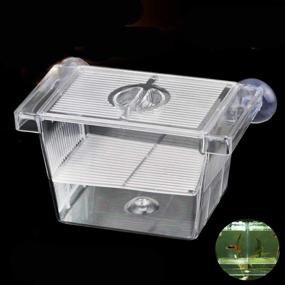 img 4 attached to 🐠 Breeder Box for Aquarium Fish Tank - Hatchery and Divider Tank for Breeding, Baby Fish Separator, Acrylic Container for Fry, Shrimp, Guppy, Clownfish, and Aggressive Fish