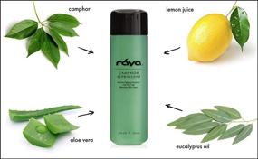 img 3 attached to 🌿 RAYA Camphor Astringent: Effective 6 oz Facial Toner for Oily and Break-Out Skin, Controls Excessive Oiliness and Dries Up Blemishes - Camphor & Eucalyptus Infused