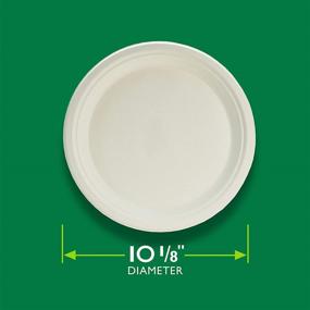 img 2 attached to 🌱 Hefty ECOSAVE Compostable Paper Plates, 10-1/8 Inch, 45 Count - An eco-friendly dining solution