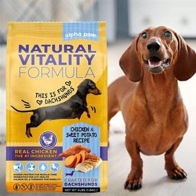 img 1 attached to Alpha Paw Adult Natural Dry Dog Food: Real Chicken & Sweet Potato Flavor for All Breeds and Sizes