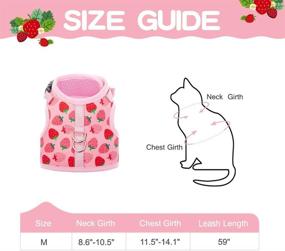 img 3 attached to 🐱 Premium BINGPET Cat Harness and Leash - Stylish Mesh Escape-Proof Walking Set for Cats, Dogs, Kitties, and Small Animals