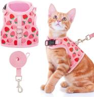 🐱 premium bingpet cat harness and leash - stylish mesh escape-proof walking set for cats, dogs, kitties, and small animals logo