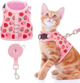 img 4 attached to 🐱 Premium BINGPET Cat Harness and Leash - Stylish Mesh Escape-Proof Walking Set for Cats, Dogs, Kitties, and Small Animals